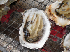 東洋医学　冬　食べ物