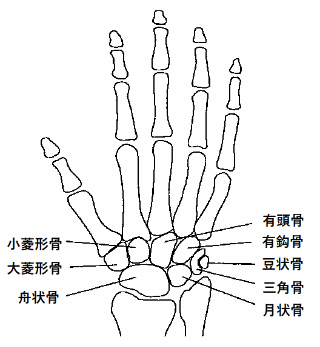 手首の痛み